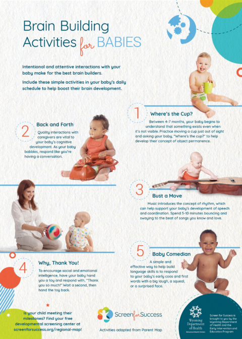 Brain Building Activities For Babies Screen For Success