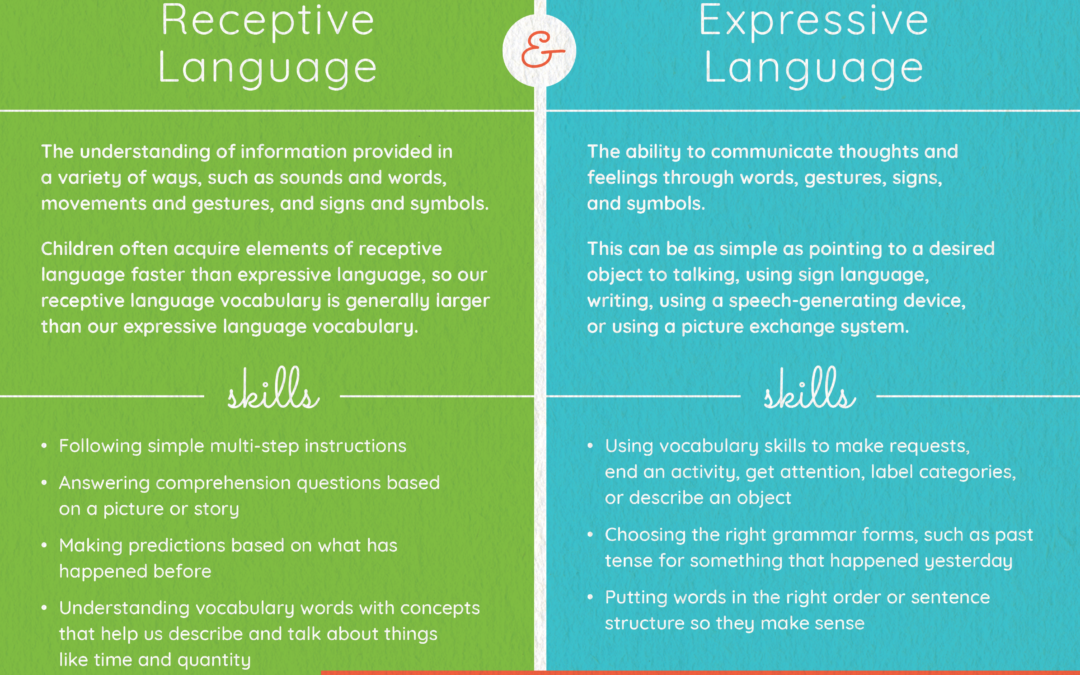 Receptive & Expressive Language – A Closer Look